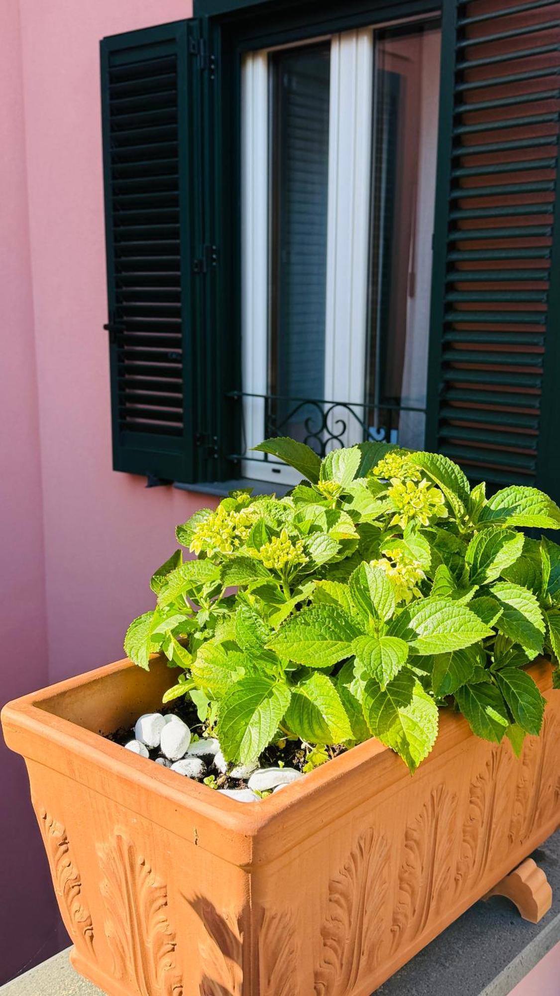 La Maison Rose Maiori Exterior foto